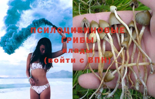 mix Абаза