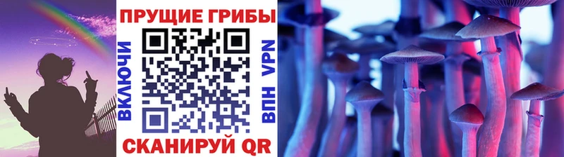 Псилоцибиновые грибы ЛСД  Истра 