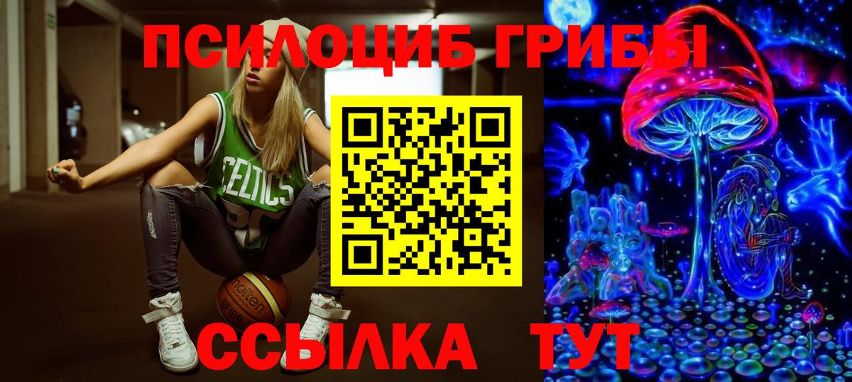 Истра  Псилоцибиновые грибы прущие грибы  Вход с VPN 